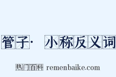 管子·小称反义词是什么意思的图片